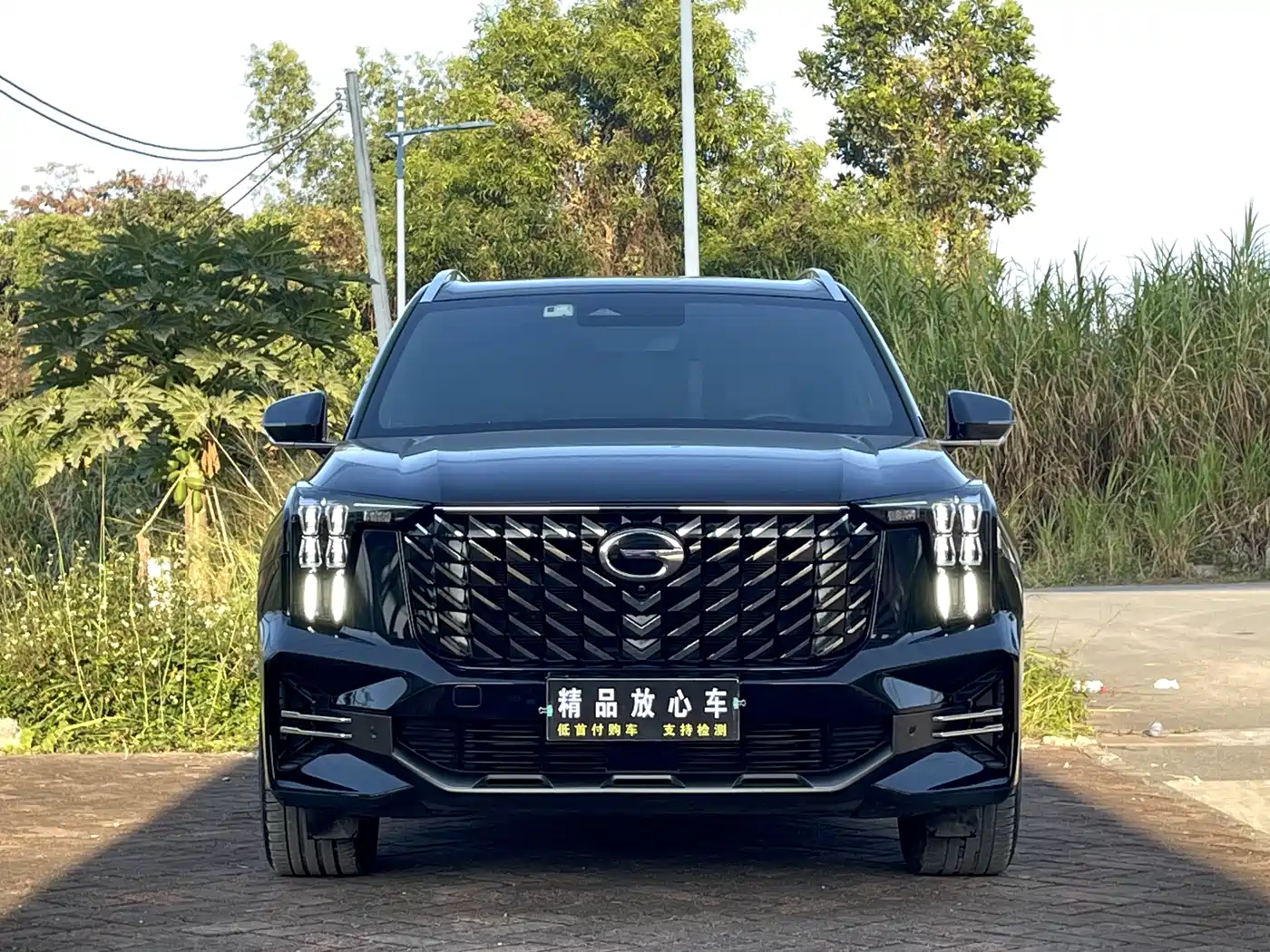 GAC Trumpchi Trumpchi GS8 2022 Pilot Series 2.0TGDI 2WD Luxury Smart Connect Edition (7-Seater) фото 2