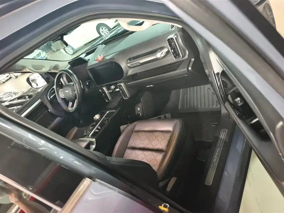 Haval Big Dog 2021 1.5T DCT 2WD Border Collie Edition фото 8