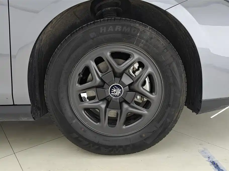 BYD Qin PLUS 2025 DM-i Smart Drive 55KM Leader фото 6