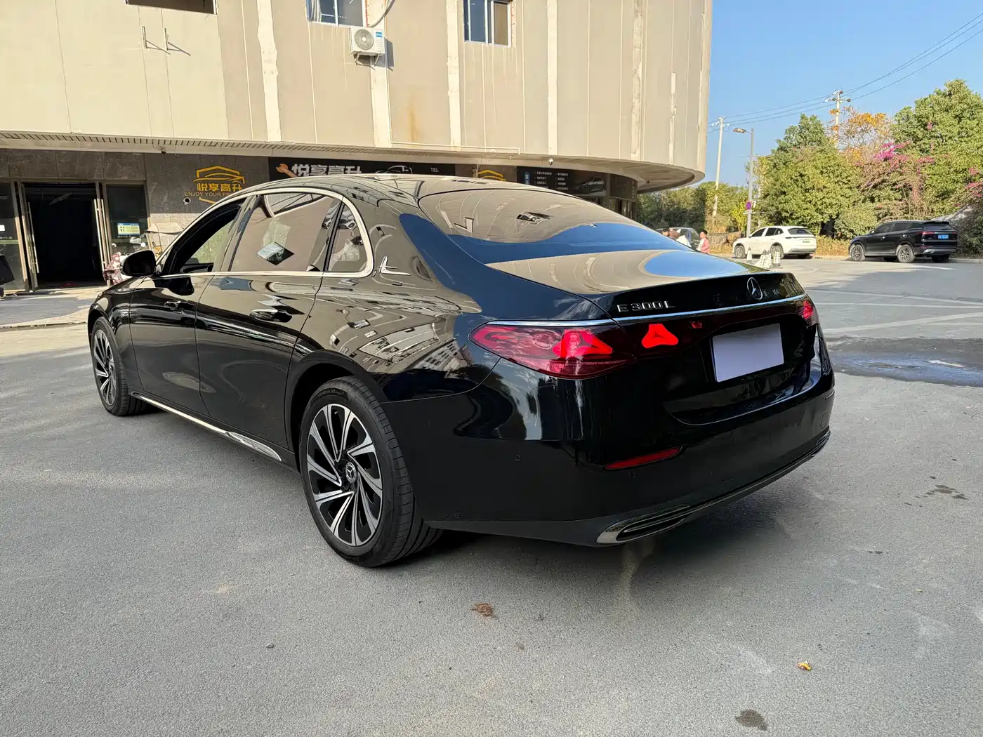 Mercedes-Benz E-Class 2024 Model E 300 L Luxury фото 6