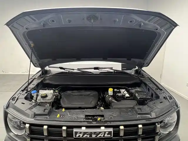 Haval Cool Dog 2022 2022 1.5T DCT 2WD Trend Edition