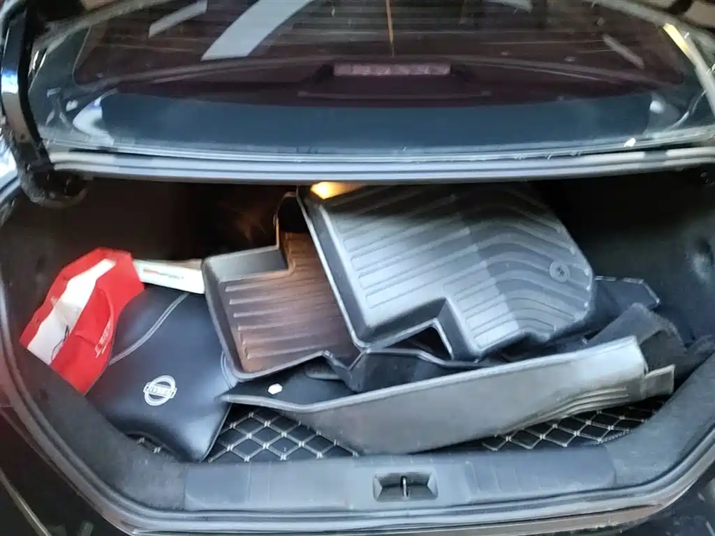 Nissan SYLPHY, миниатюра 19