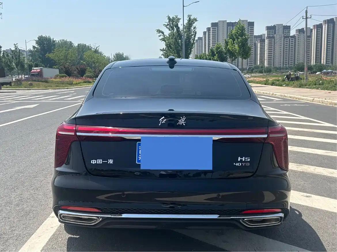 Hongqi H5 2025 2.0T Automatic Flag Celebration 500,000 Units Anniversary Edition фото 8