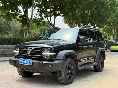 Tank 300
