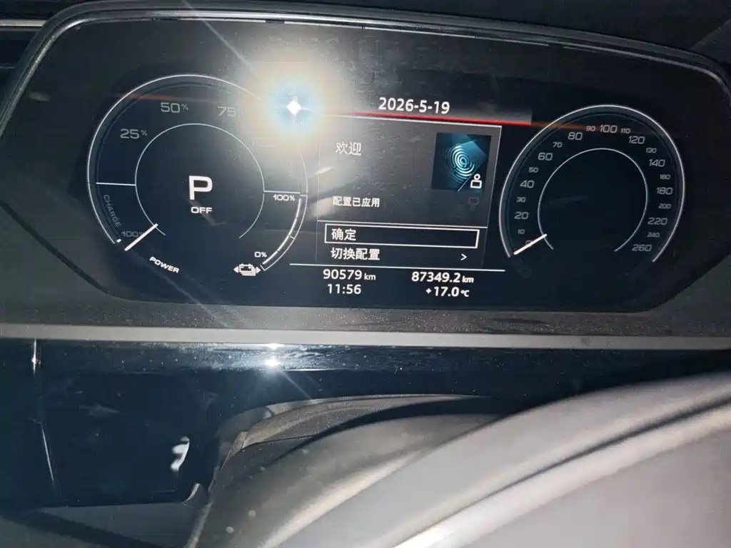 Audi e-tron (Import) 2019 55 quattro Technology фото 13