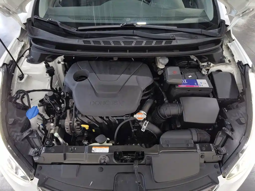 Hyundai Langdong 2018 2016 1.6L Automatic Premium Edition