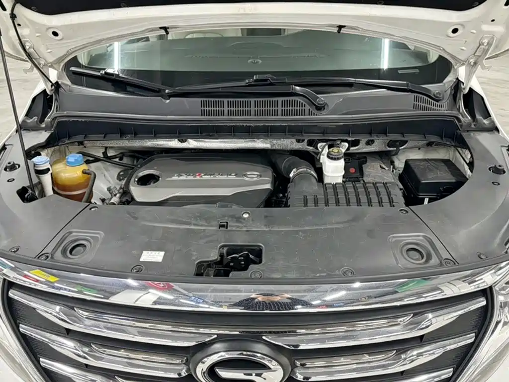 GAC Trumpchi Trumpchi M8 2018 2018 320T Flagship Edition