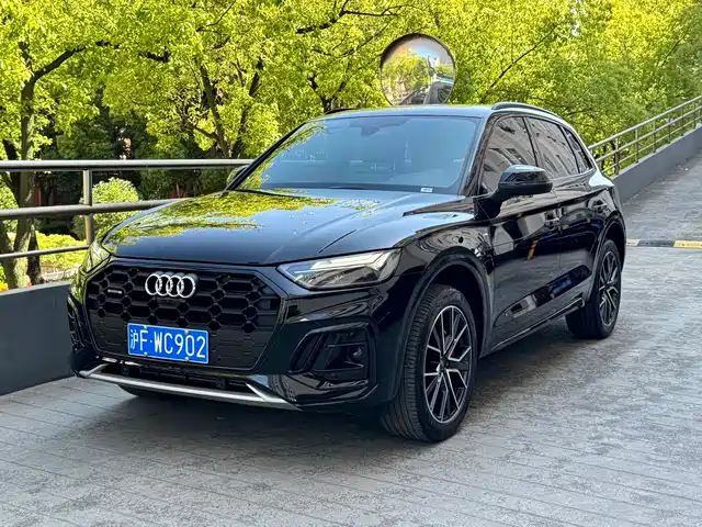 Audi Q5L 2025 45 TFSI Luxury Dynamic