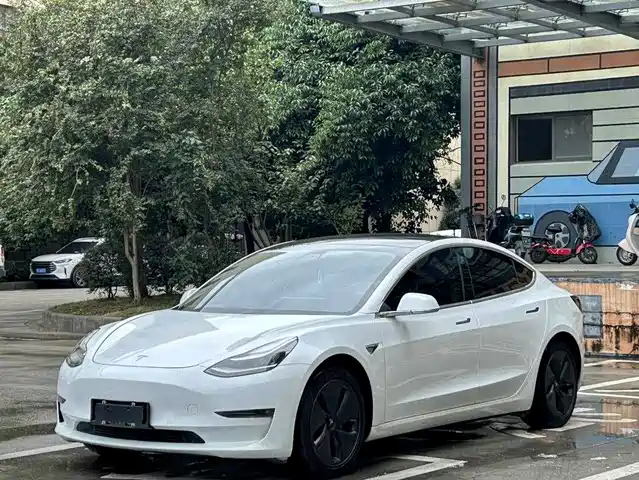 Tesla Model 3 (Import) 2019 Long Range RWD Version