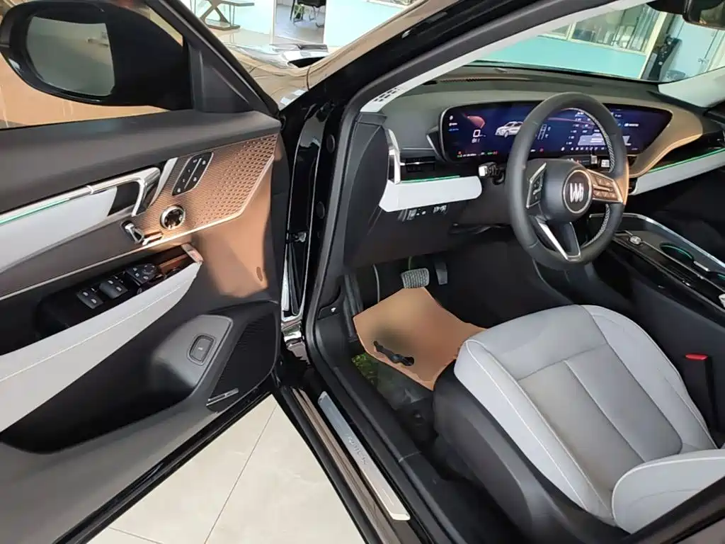 Buick E5 2024 2023 Premium Standard Range Edition