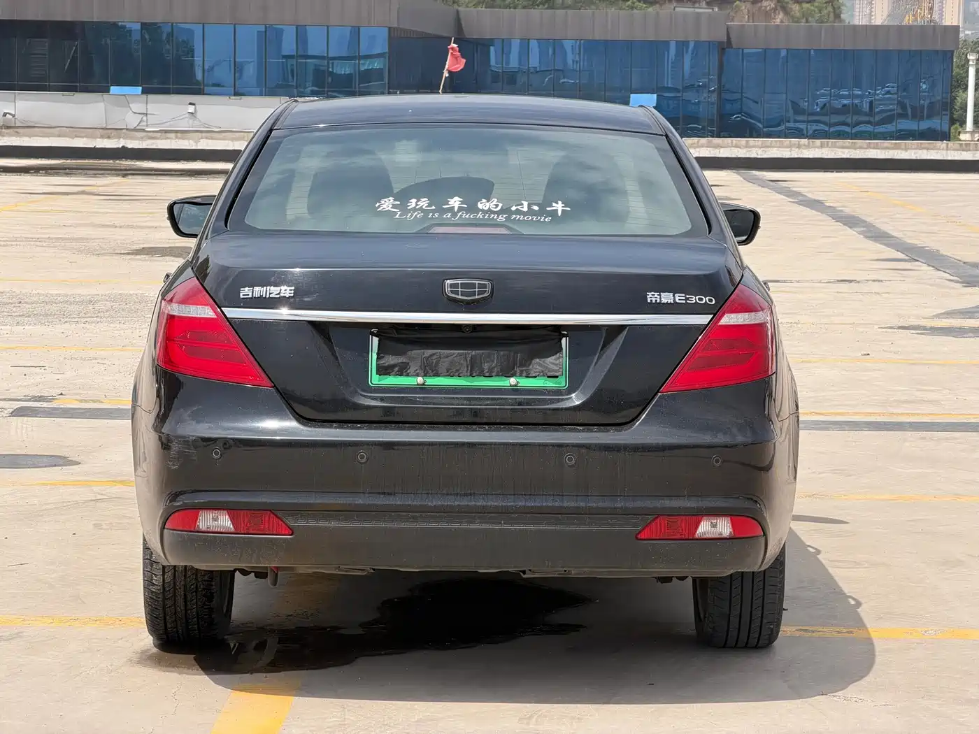 Geely Emgrand New Energy 2017 2017 EV300 Elite