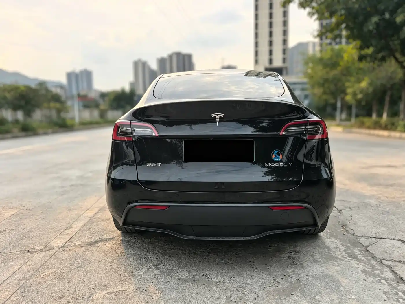 Tesla Model Y 2021 2021 Standard Range Rear-Wheel Drive