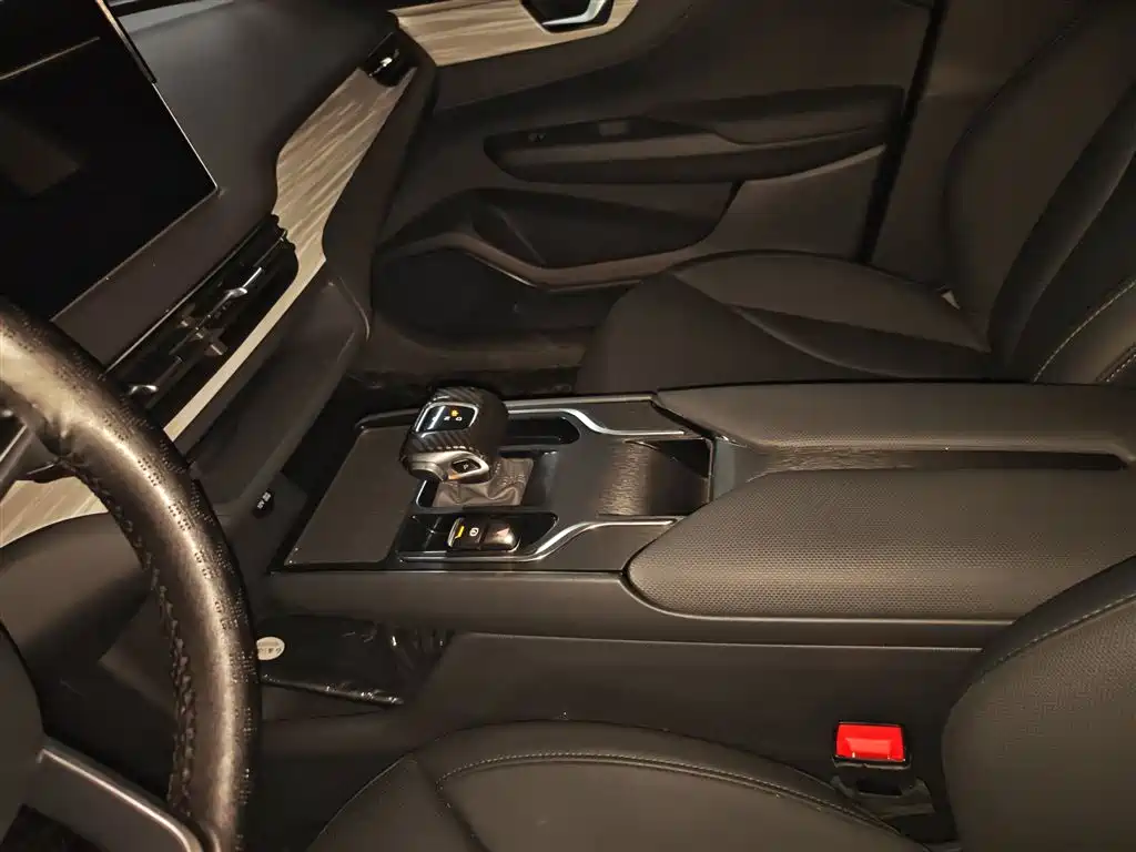 Hongqi E-QM5 2023 620km PLUS фото 7