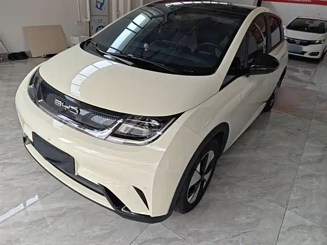 BYD Dolphin 420km, Стиль