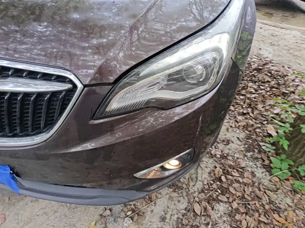 Buick Envision Plus 2018 20T 2WD Elite фото 24