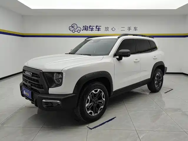 Haval Dargo 2.0T DCT, Дворняга