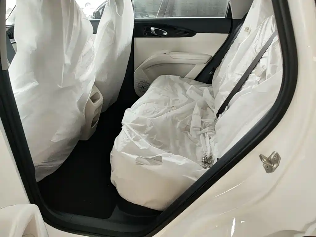 Geely Galaxy Starry Wish 2026 2026 Edition 310km Youth Version