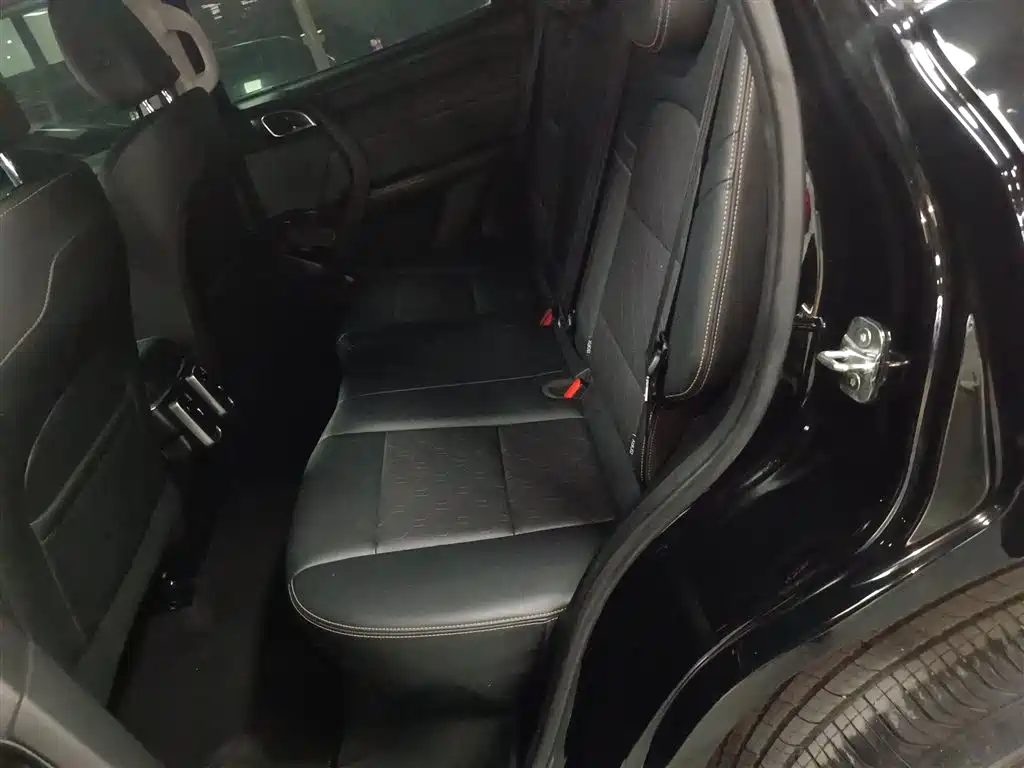 Haval Big Dog 2024 1.5T DCT Border Collie Edition фото 13