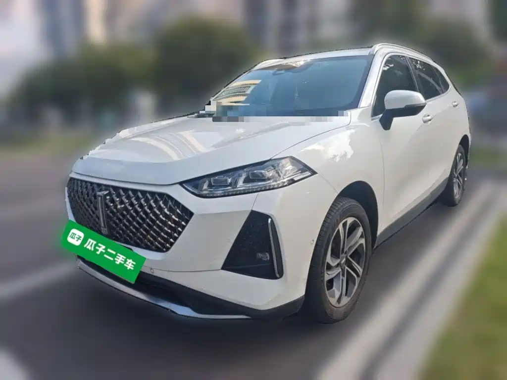 WEY Macchiato DHT-PHEV 2022 2021 1.5L Master Edition