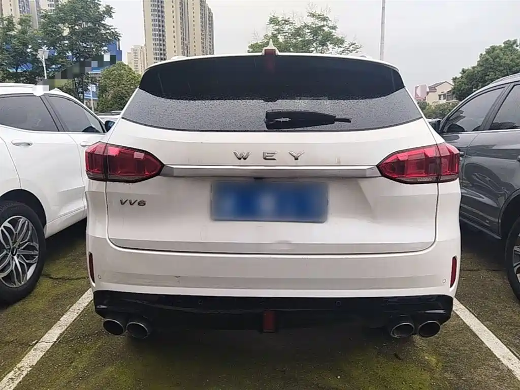 Фото 6 - WEY VV6