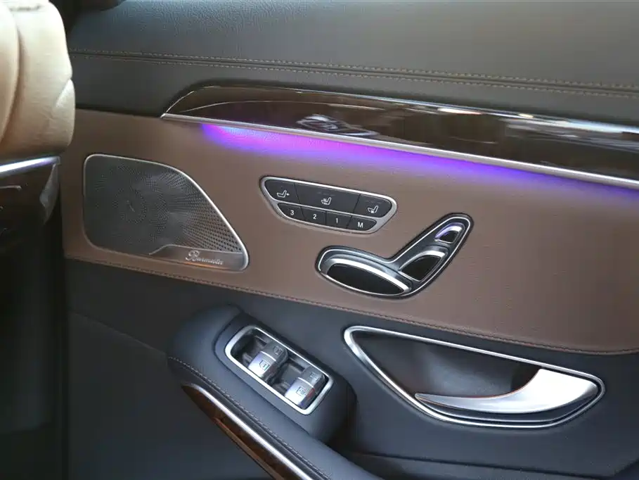 Mercedes-Benz S-Class 2020 S 350 L Premium Edition Collector's Version фото 13