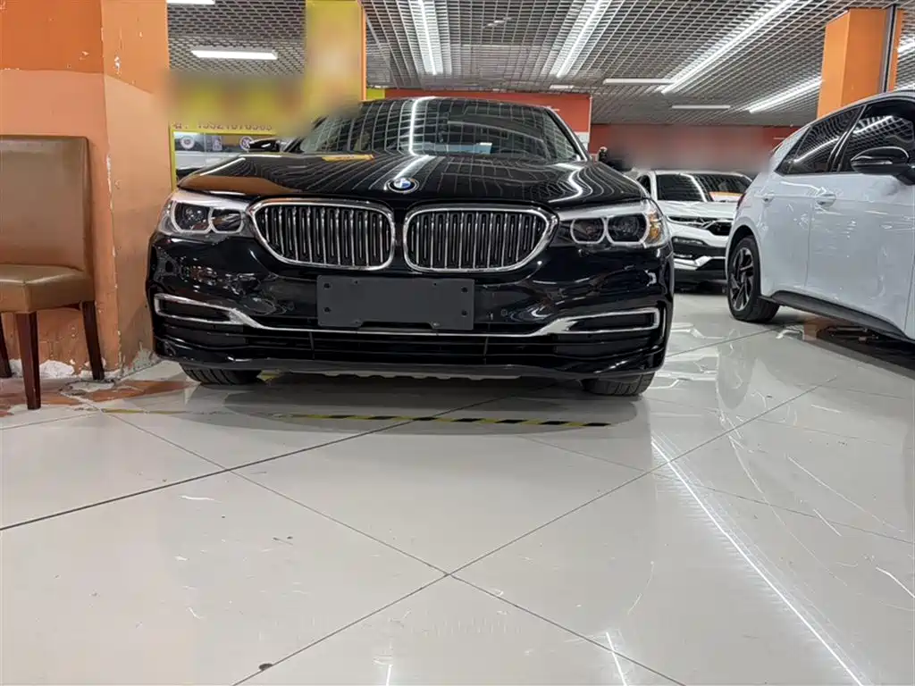 BMW 5 Series 2020 525Li Luxury Package фото 3