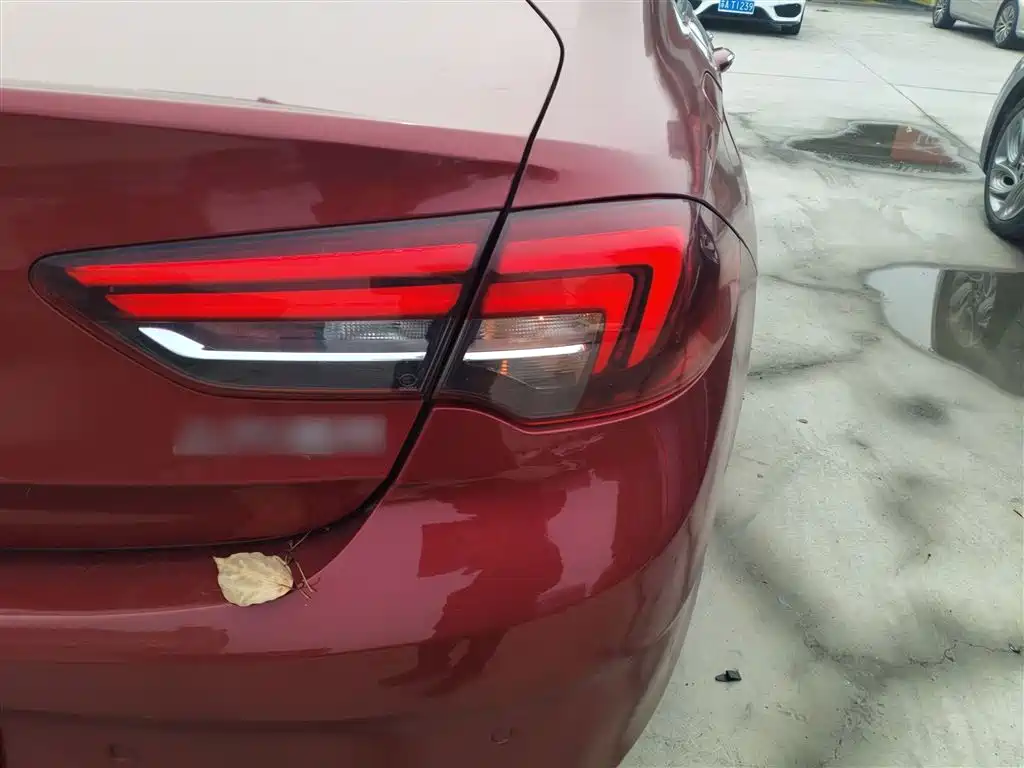 Buick Regal 2017 20T Elite Type фото 24