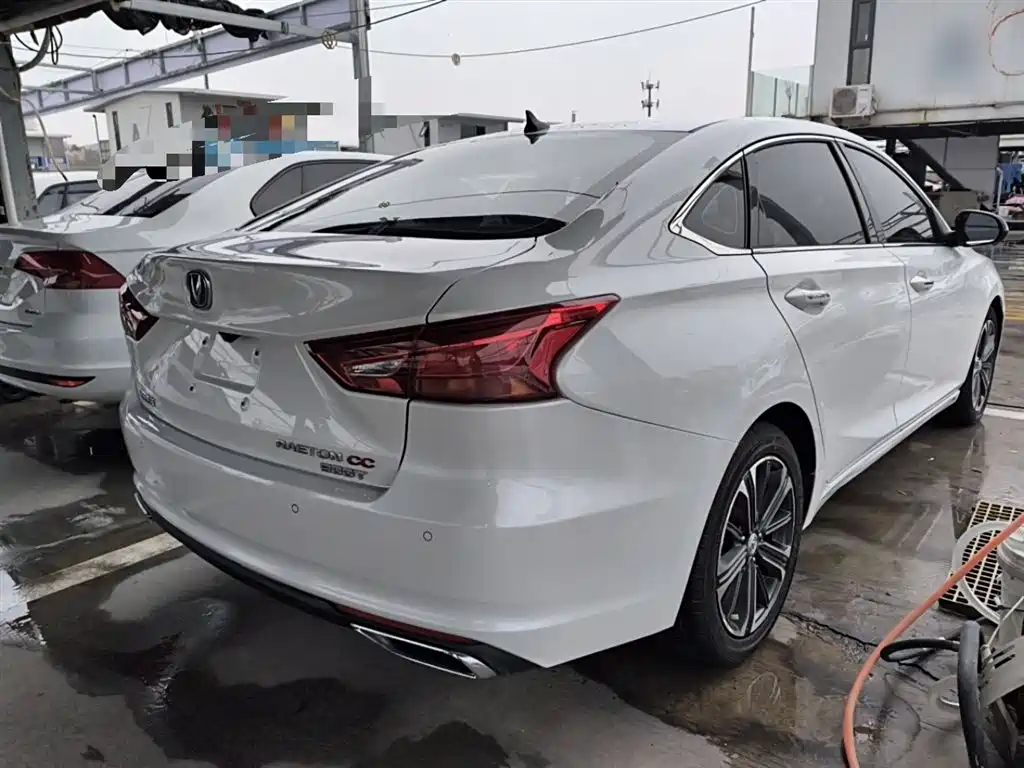Changan Ruicheng CC 2022 2022 Blue Whale Edition 1.5T DCT Luxury