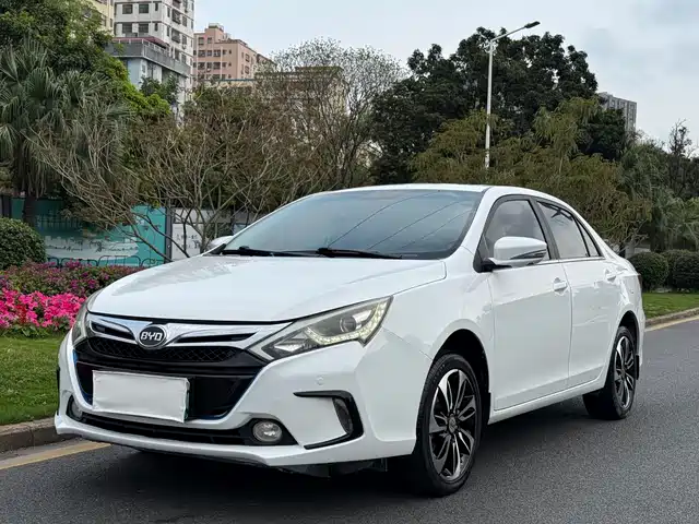 BYD QINXIN ENERGY