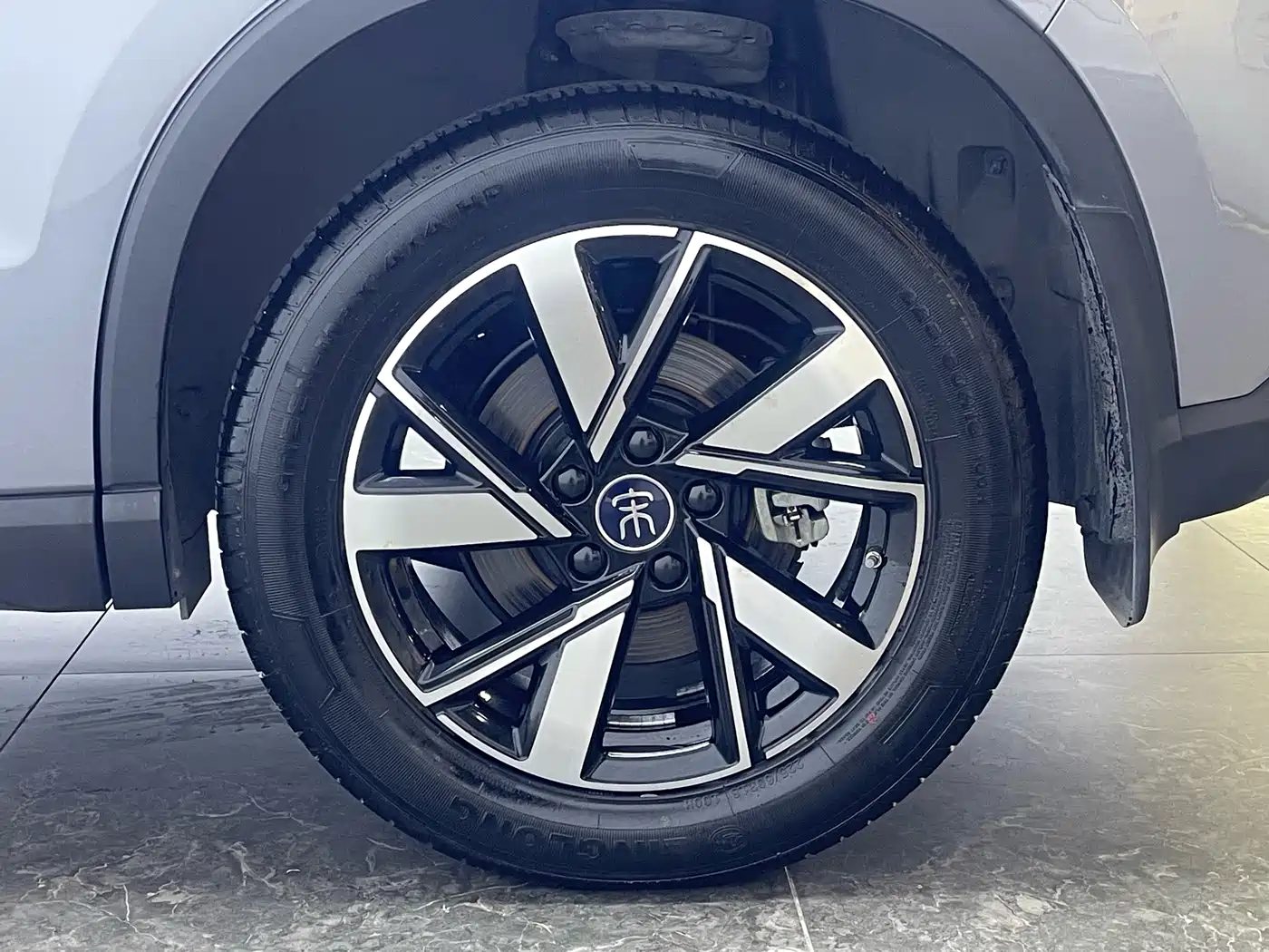 BYD Song Pro New Energy 2024 Glory Edition DM-i 110KM Surpassing фото 7