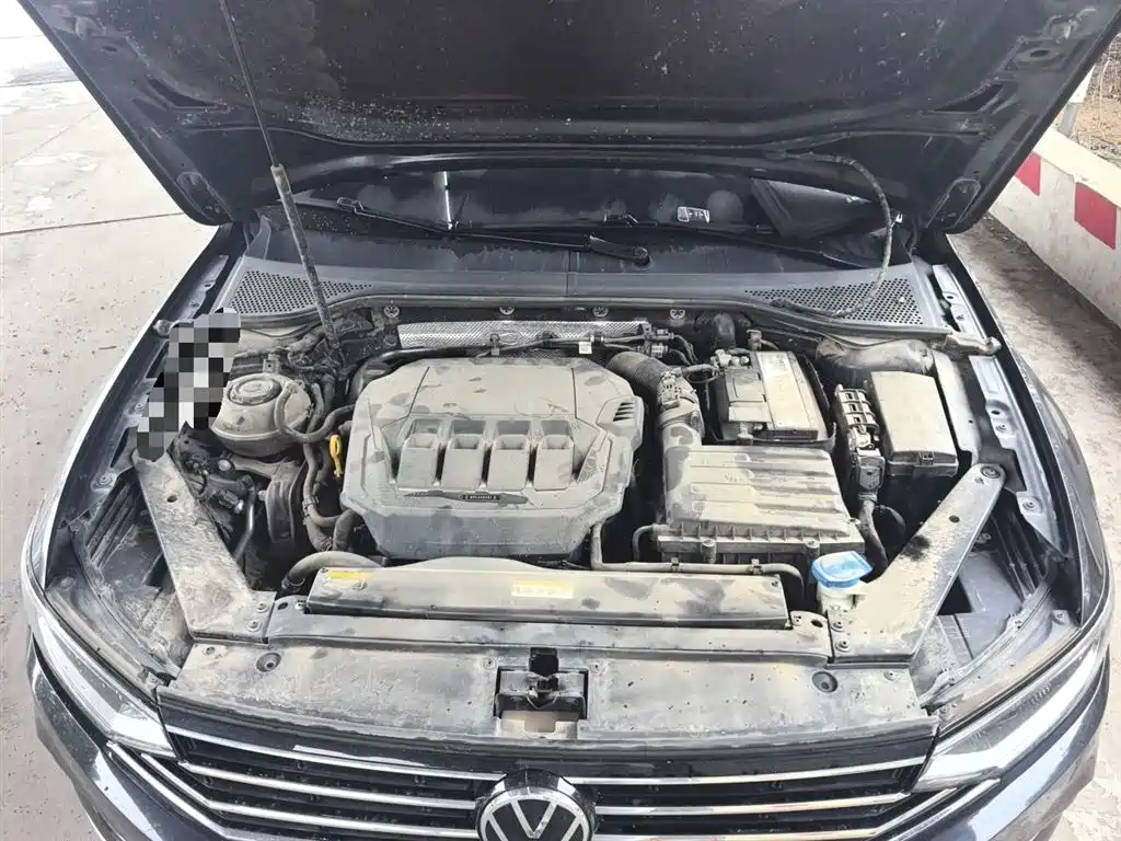 Volkswagen Magotan 2020 330TSI DSG Luxury фото 16