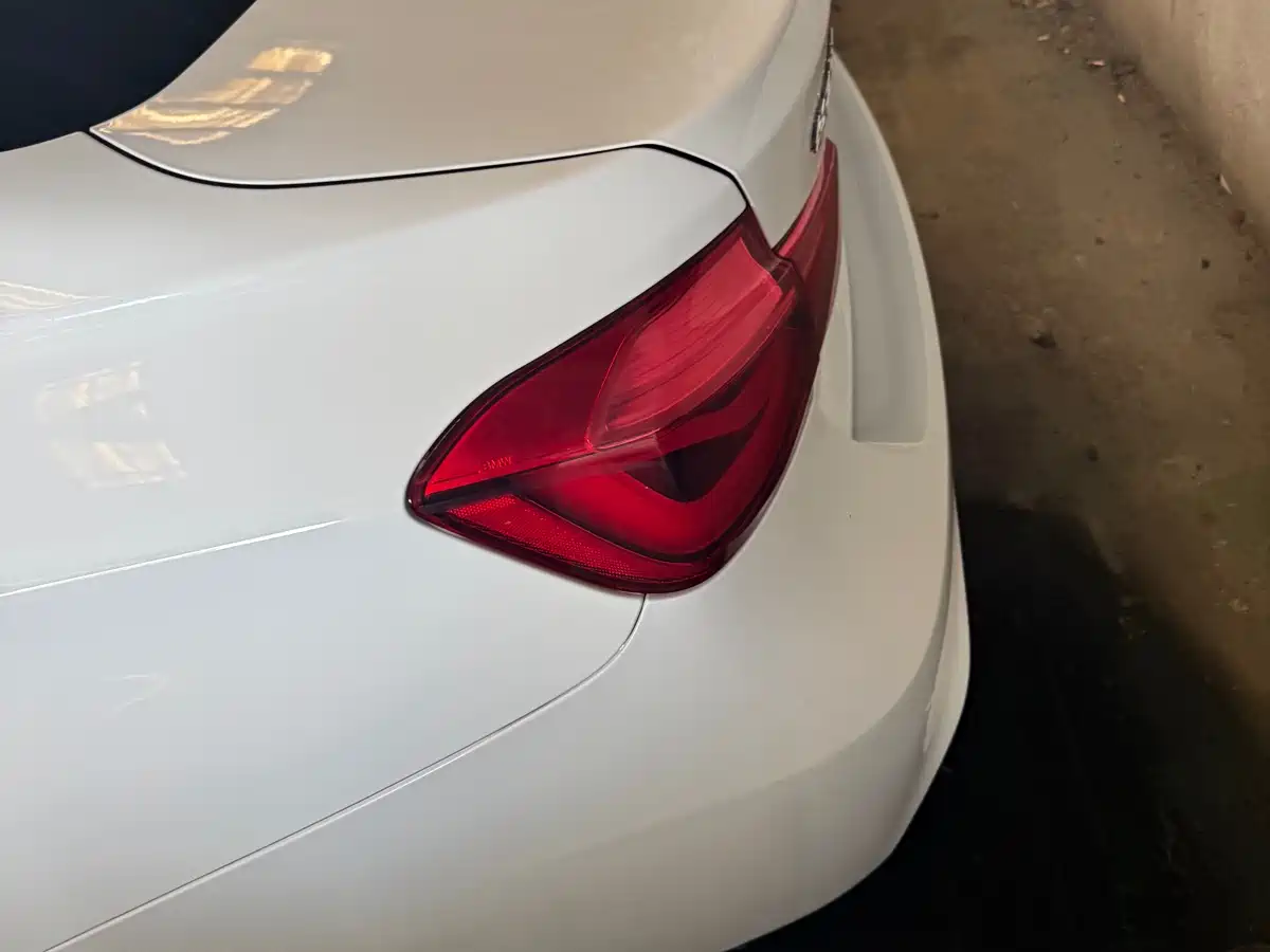 BMW 3 Series 2019 320Li M Luxury Package фото 13