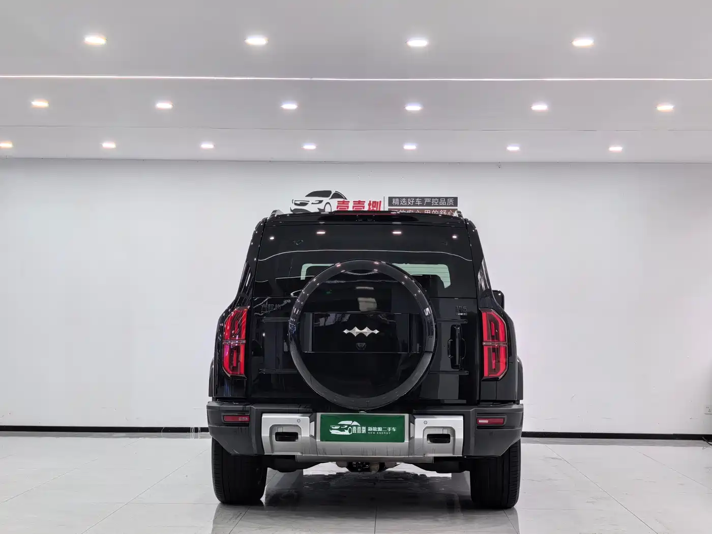 FANG CHENG BAO LEOPARD 5