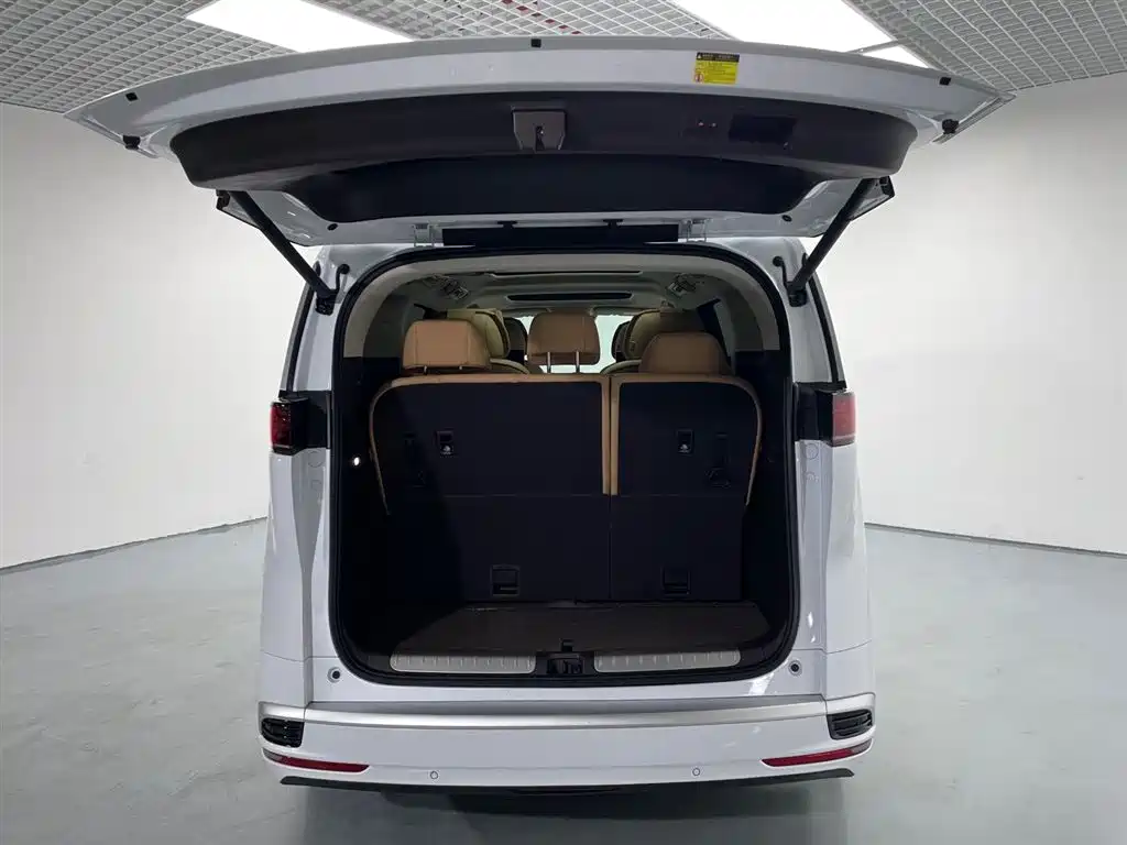 Denza D9 2024 DM-i 980 AWD Flagship фото 19
