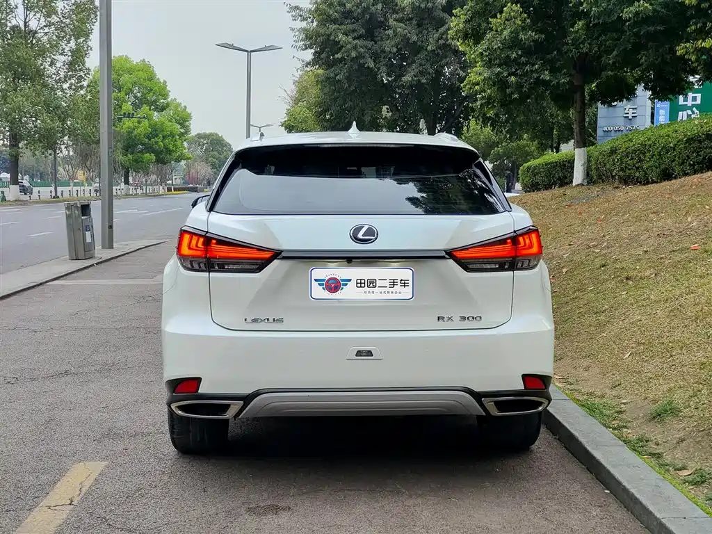 Lexus RX 2020 Facelift 300 2WD Elite Edition фото 5