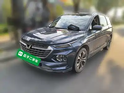 Wuling Victory