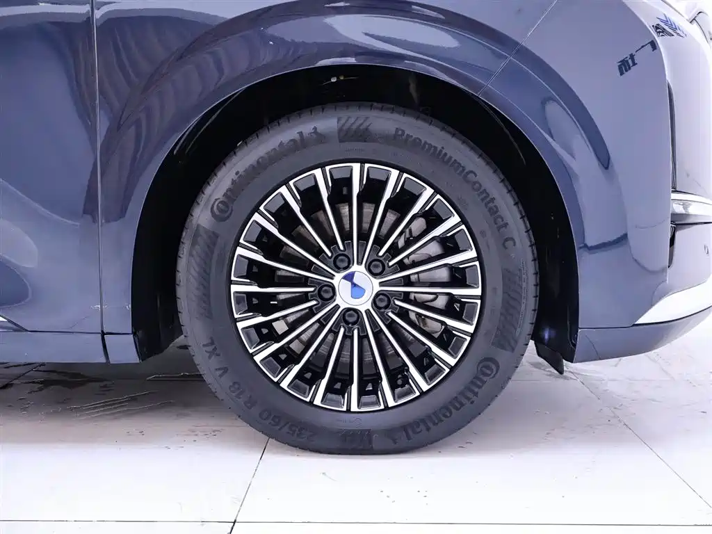 Denza D9 2024 DM-i 980 AWD Prestige фото 6
