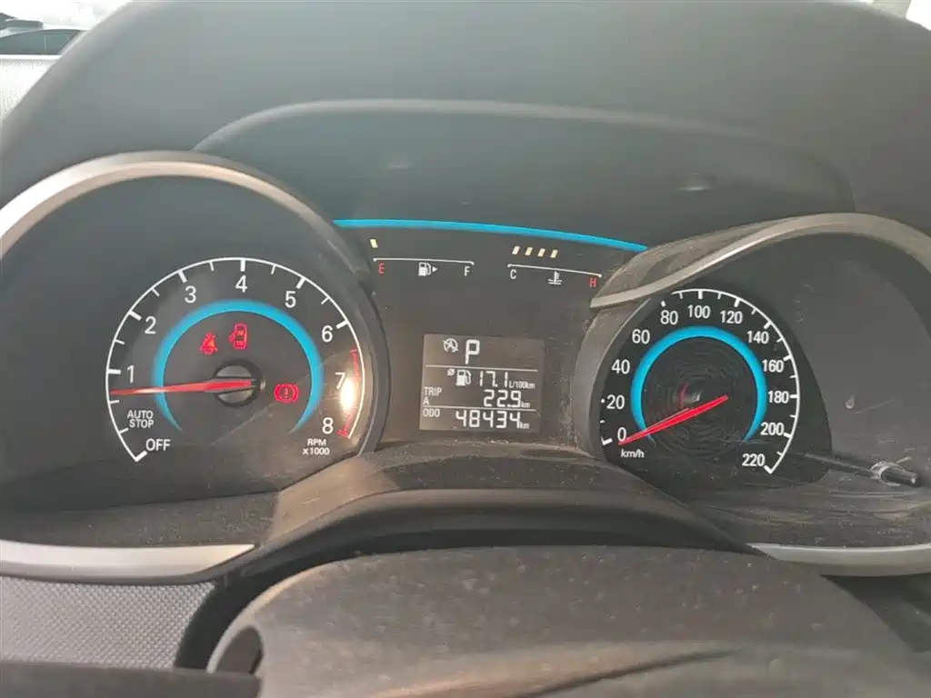 Chevrolet Cavalier 2019 320 Auto Sunroof Enjoyment Edition фото 8