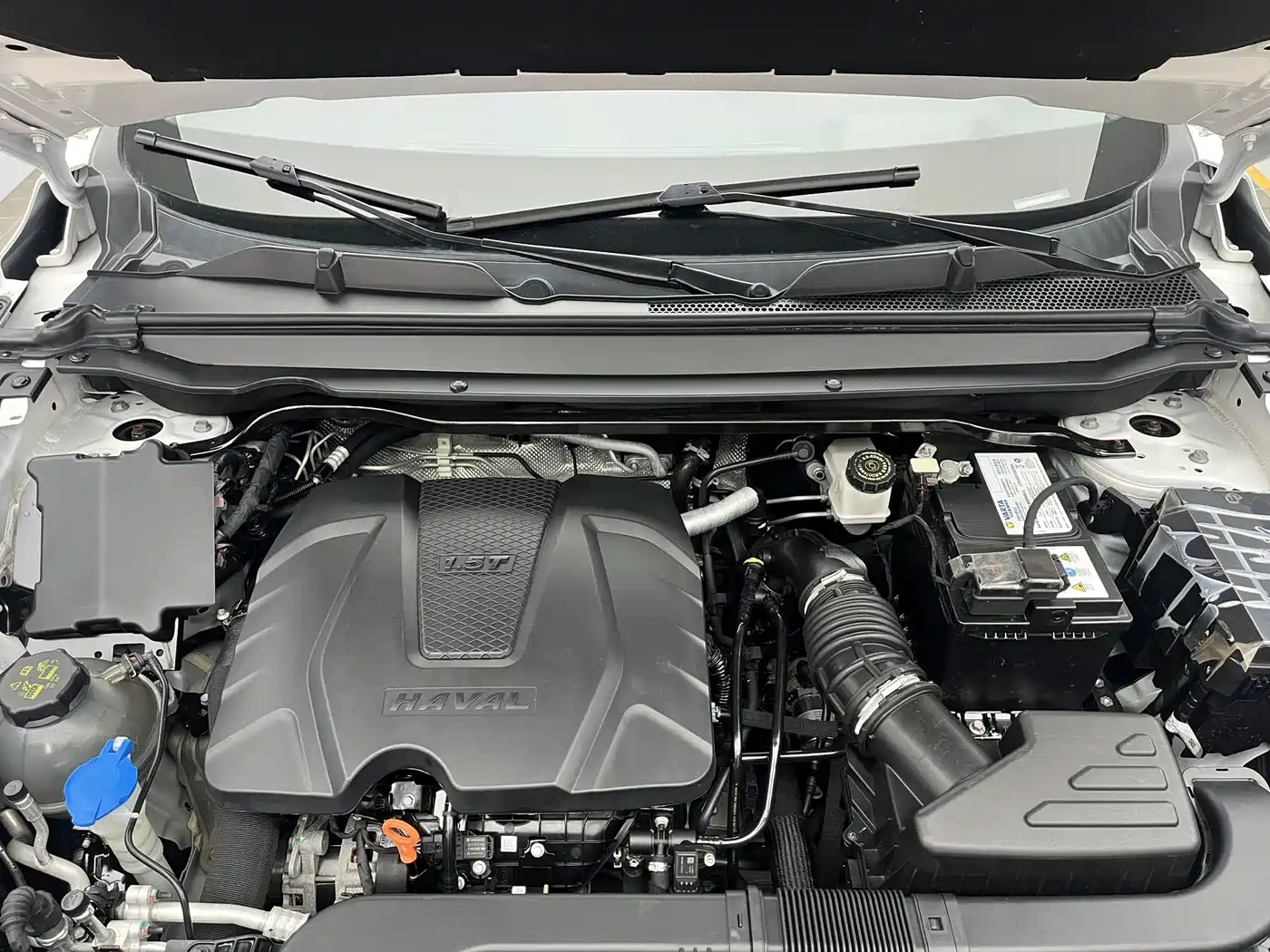 Haval First Love 2021 1.5T Automatic Premium Edition фото 20