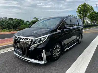 Trumpchi M8