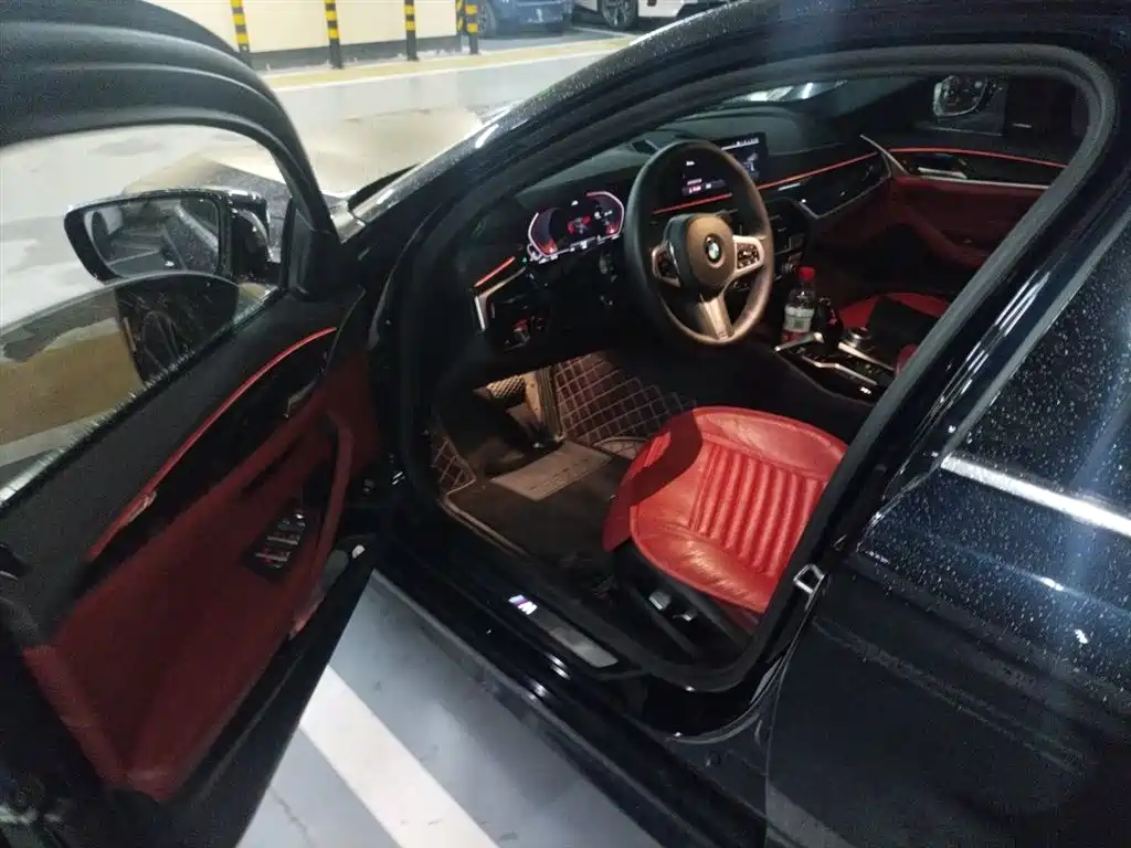 BMW 5 Series 2020 530Li Leading M Sport Package фото 17