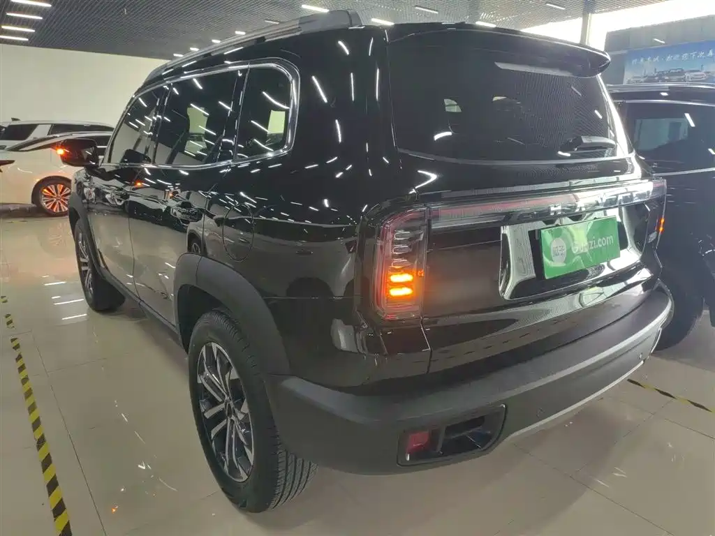 Haval Big Dog 2024 1.5T DCT Border Collie Edition фото 5