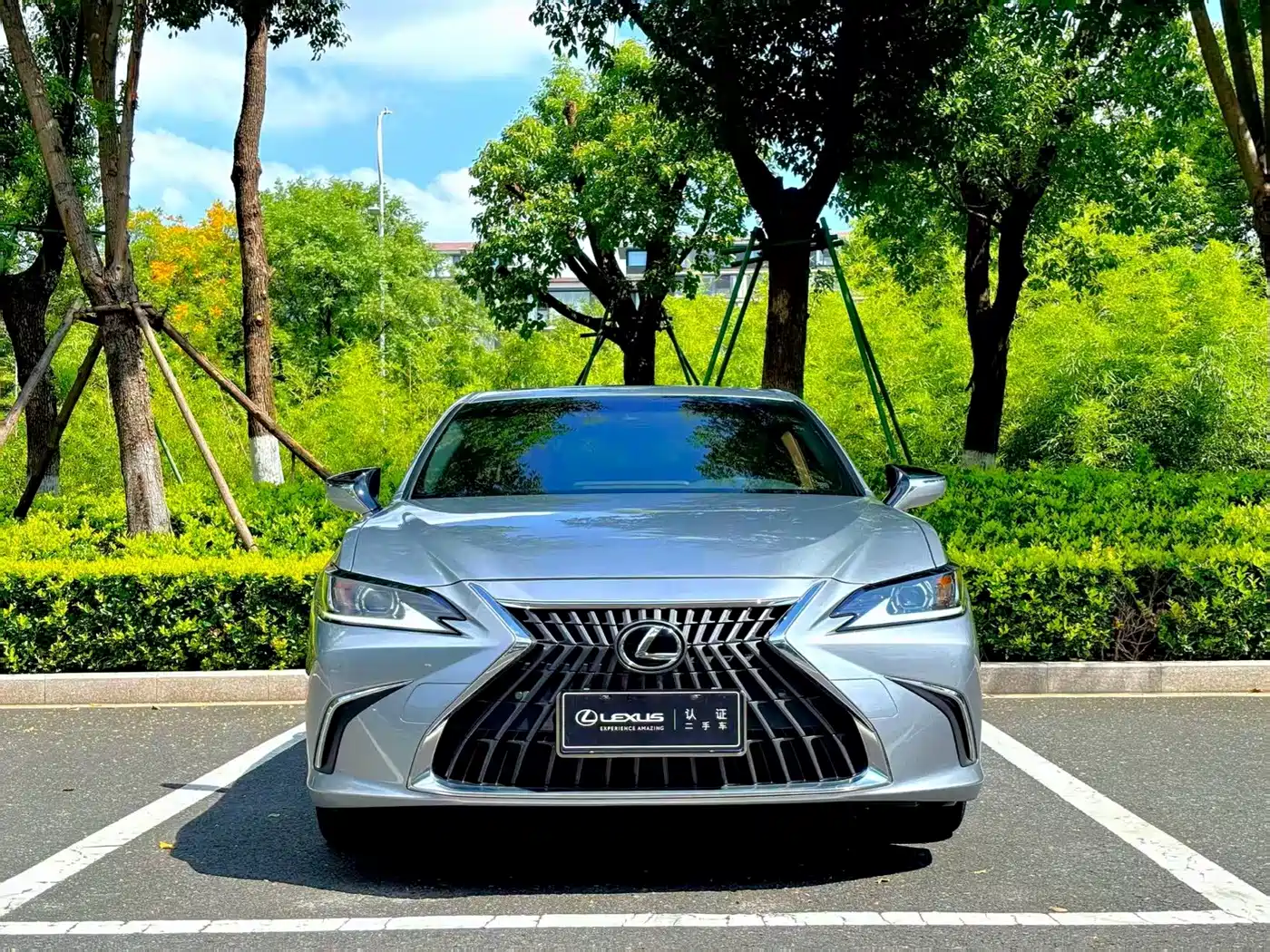 Lexus Lexus ES 2022 200 Excellence Edition