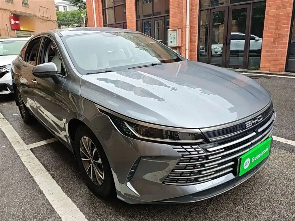 BYD Destroyer 05 2024 Glory Edition DM-i 55KM Luxury фото 4