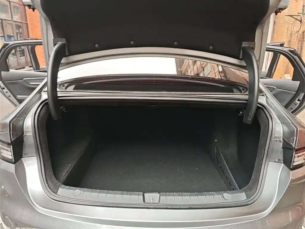 BYD Destroyer 05 2024 Glory Edition DM-i 55KM Luxury фото 19