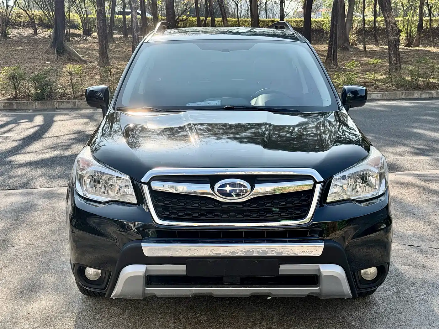 Subaru Forester 2013 2.5i Automatic Elite Edition фото 2