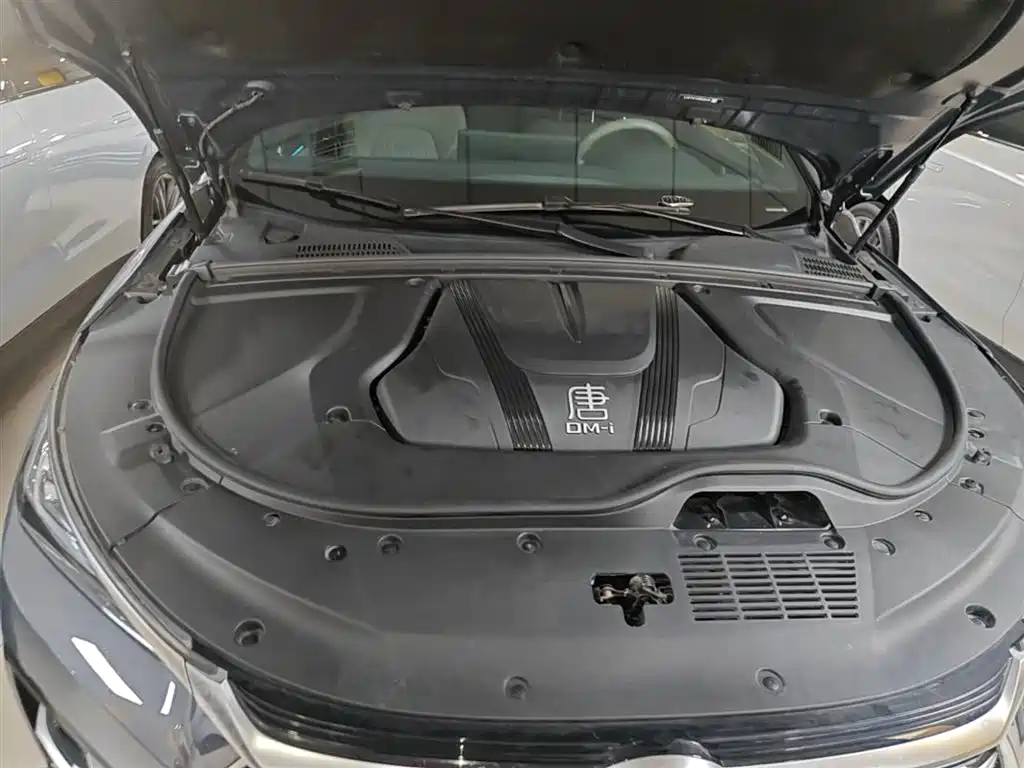 BYD Tang New Energy 2024 DM-i Champion Edition 200KM Premium фото 20