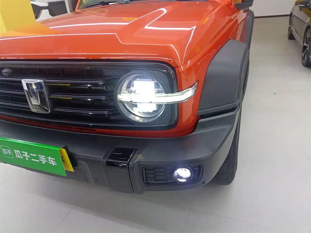 Tank 300 2023 Off-Road Edition 2.0T Conqueror фото 16