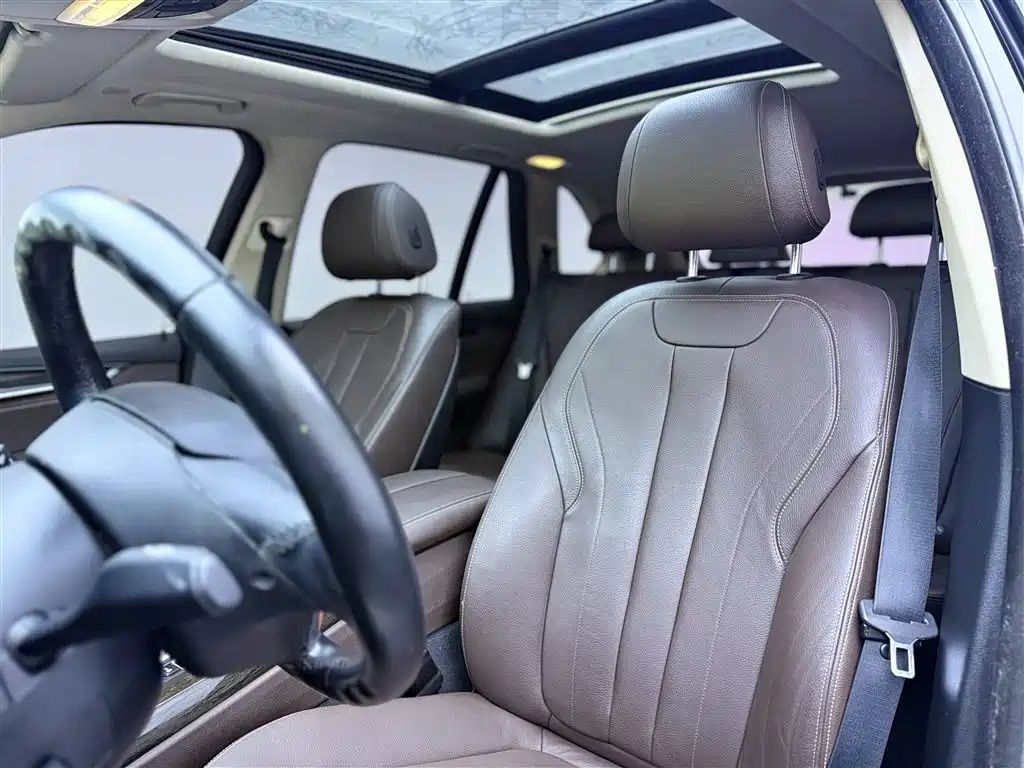 BMW X5 New Energy(Imported) 2016 xDrive40e фото 4