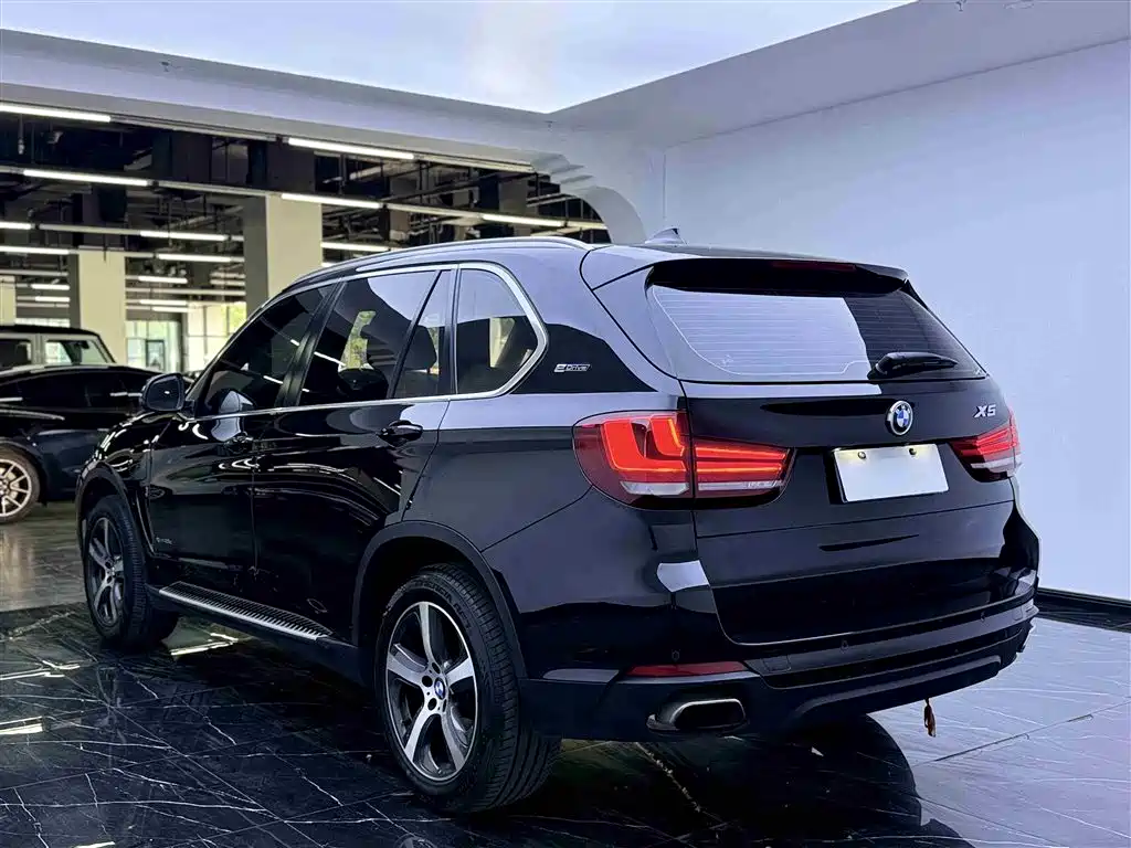 BMW X5 New Energy(Imported) 2016 xDrive40e фото 18